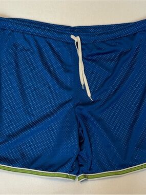 Men’s Nike Blue w/ Green Basketball Mesh Athletic Gym Shorts XL 16-18